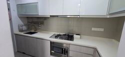 The Canopy (D27), Condominium #522590251